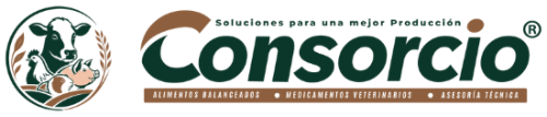 dark logo